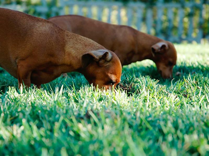 sudoku problem solving screenshot 4